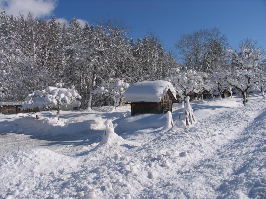 Gasthof Staud'Nwirt Bad Aussee Bagian luar foto